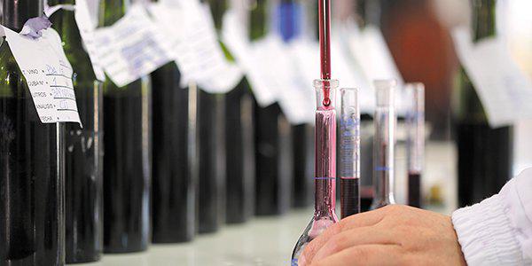 DFinanciero's tweet image. Concha y Toro es la marca de vino más poderosa del mundo bit.ly/1RVNrOg