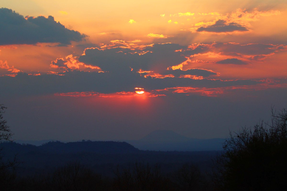 Mythic Hippo Photography (@jenny_grewal) on Twitter photo Sunset in <a href="/RuahaNP/">Ruaha National Park</a> National Park, Tanzania #photofestivalpentax <a href="/jessops/">Jessops</a> <a href="/PENTAXIAN/">RICOH IMAGING</a> Sunset in <a href="/RuahaNP/">Ruaha National Park</a> National Park, Tanzania #photofestivalpentax <a href="/jessops/">Jessops</a> <a href="/PENTAXIAN/">RICOH IMAGING</a>