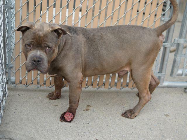 Southern Pride tweet media