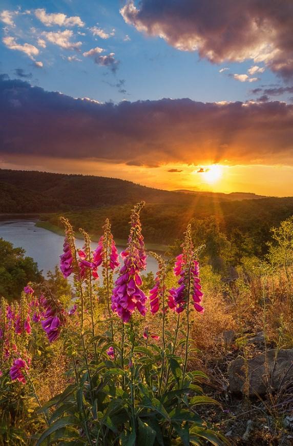 dhughes5520's tweet photo. Beautiful #sunset http://t.co/PX7ybs9btE