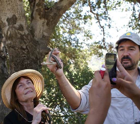 modernhiker's tweet photo. Help the @NHMLA with #BioBlitzLA to show off all of LA's wildlife! http://t.co/qOjMTxxku0 http://t.co/EdSVfpVy34