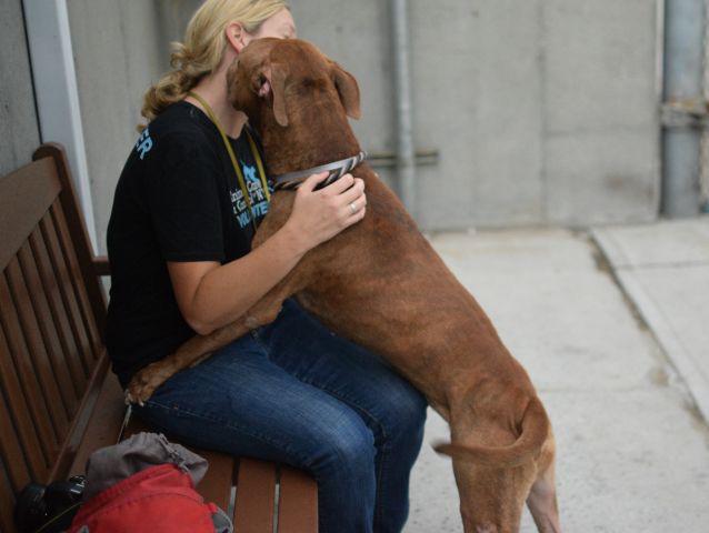 Southern Pride tweet media