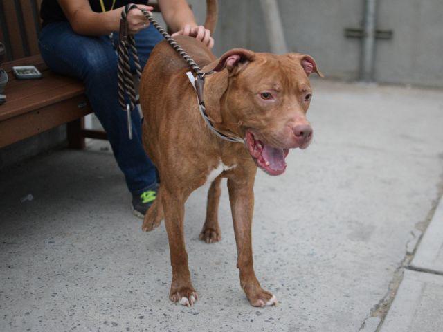 Southern Pride tweet media