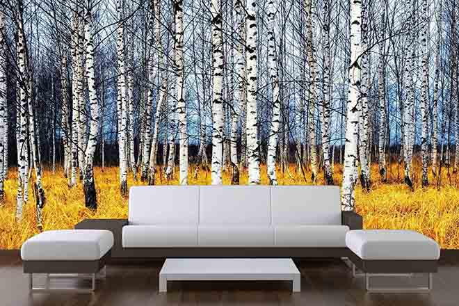 Surfacing magazine tweet media