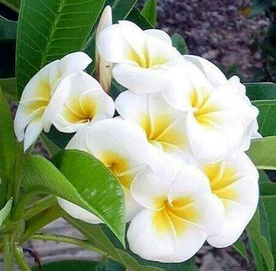 @gvgetk @qazxqazxz <a href="/tamara199062125/">♥♥بنوته كيوتي ♥ ♥</a>  ولو تدلل   من بعد ذوقك