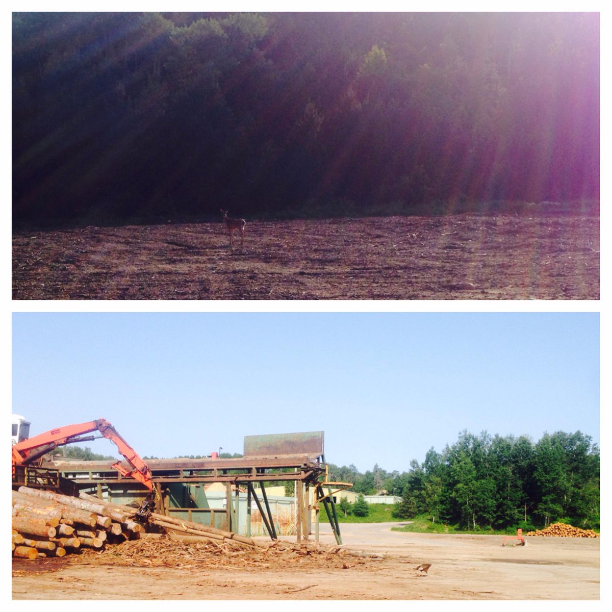Visitors around the mill yard this morning