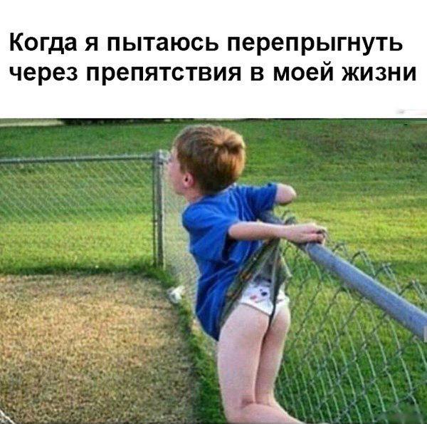 Вот это шутеечка (@shuteechka) on Twitter photo 