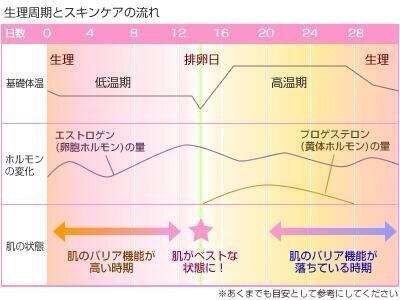 ぜったい知っときたい メイク情報集 On Twitter 生理周期別肌ケア 月経期 乾燥しやすい 保湿重視 卵胞期 最も美肌の時期 角質ケアやピーリングもok 排卵期 肌の内側が乾燥しやすい 保湿 ビタミン摂取 黄体期 肌の調子が悪くなる時期