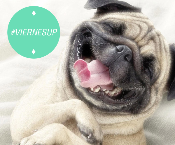carrerasdc's tweet photo. SEEEEEEEEEEEE Al fin.... #ViernesUP !!! A divertirse y disfrutar el finde!! #BuenViernes http://t.co/a0eNi0X7Y9
