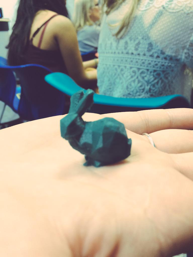 YardsApart's tweet photo. Great presentation by @fablabcardiff @womenspire #Milkshake today! 3D Printing is awesome! 🐰🐇 http://t.co/uzq25M0lE2