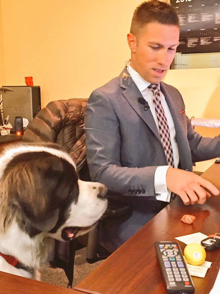 mummers17's tweet photo. We love Sully!!! And you too @ZachLashway RT @ZachLashway Boss man Sully #BringYourDogToWorkDay http://t.co/oaTXChkwdi