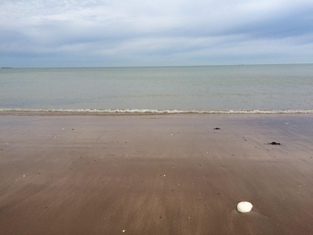 beclittlechild's tweet photo. A beautiful day for daydreaming #daydreaming #margate #timeout http://t.co/NvwFo60tgV