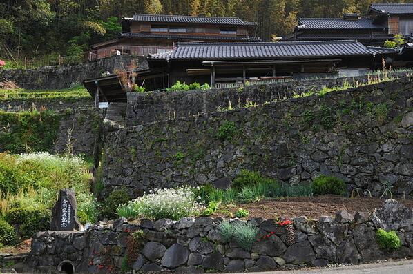 zekkei_Nippon tweet picture