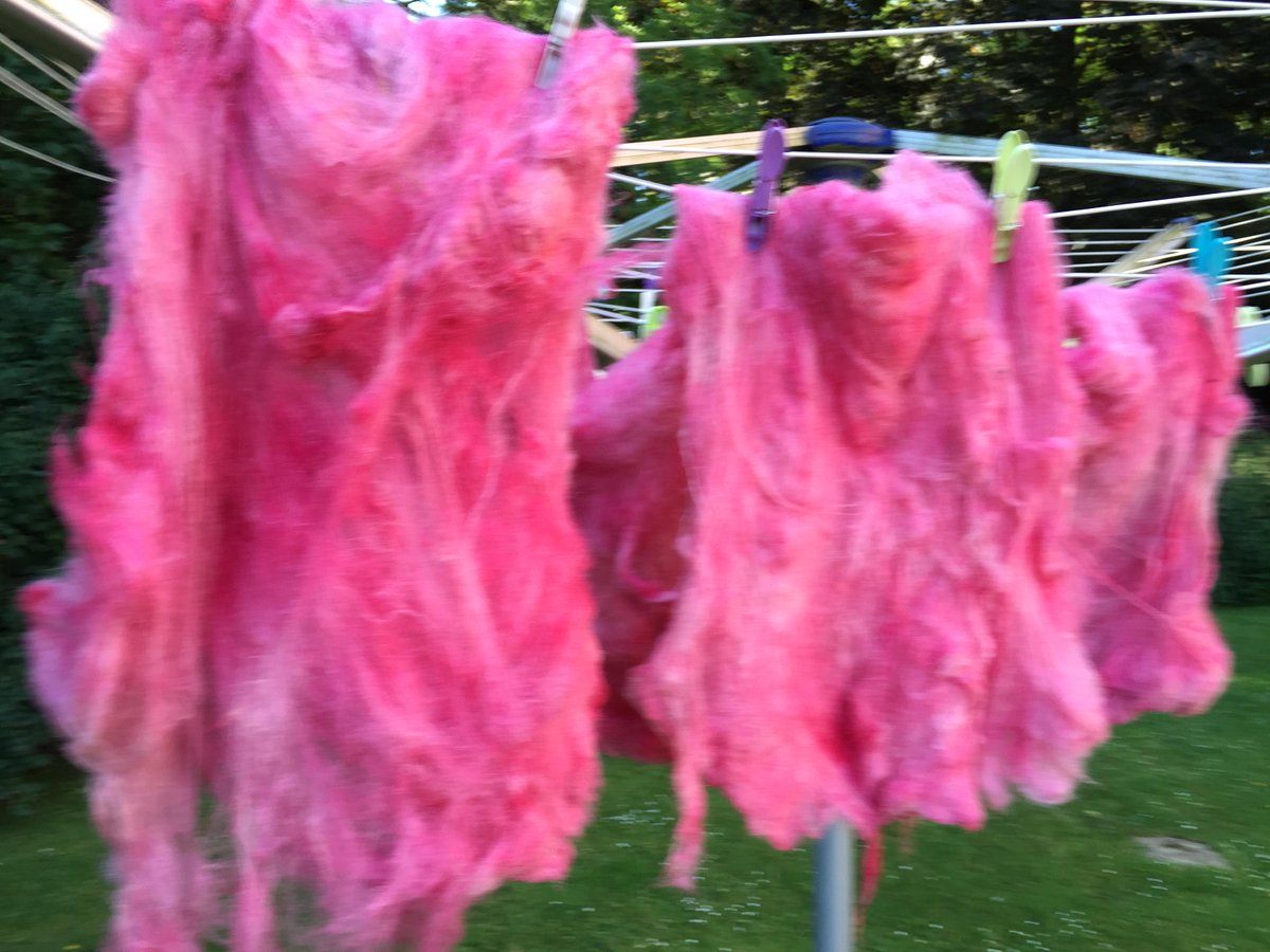 spincheviot's tweet photo. Cheviot / Border Leicester batts dyed with food colouring gels. ready to spin. http://t.co/Bv4pxoz571