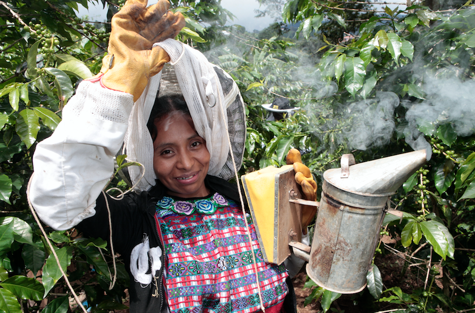 Heifer's tweet photo. Farmers that receive bees are able to harvest honey during the non-growing season for income: http://t.co/5yuhIYHG3Q http://t.co/wHbLGVe70n