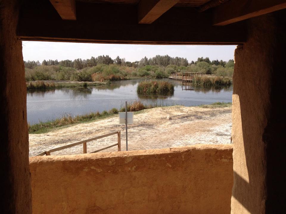 Ahmad_Enaya_'s tweet photo. #cnnjordan more photos from Azraq Wetland Reserve http://t.co/JhSNlSFzjw