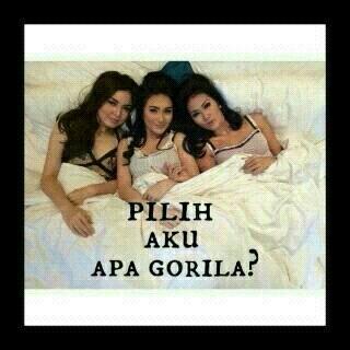 Milih gorila apah dia ya *pensive* wkwkkk