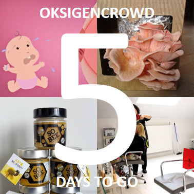 oksigenlab's tweet photo. Crowdfunding for social impact! 5 days left on #OksigenCrowd! Support the #socent now on http://t.co/liwRLfGdZr http://t.co/CKn3eeBEUd
