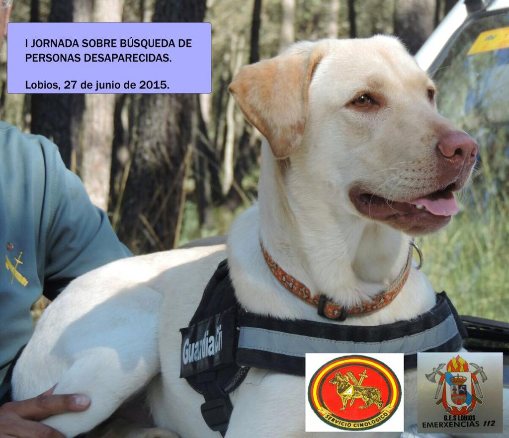 GLobios's tweet image. O sábado compartiremos xornada,cos compañeiros do servicio cinologico da XV Zona da Garda Civil de Galicia