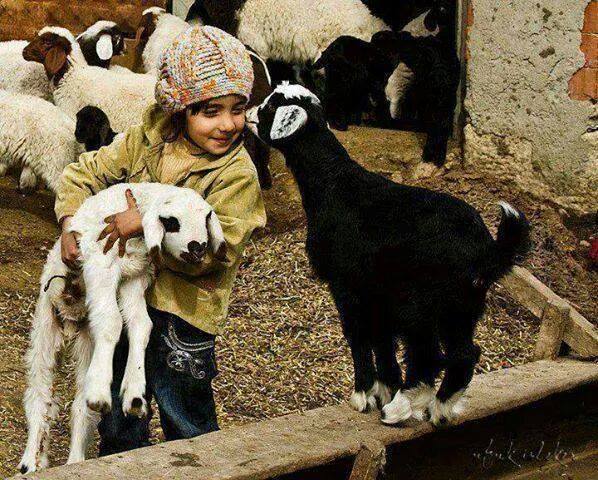 Samimi bir dokunuş, dünyalara bedel bir duygudur