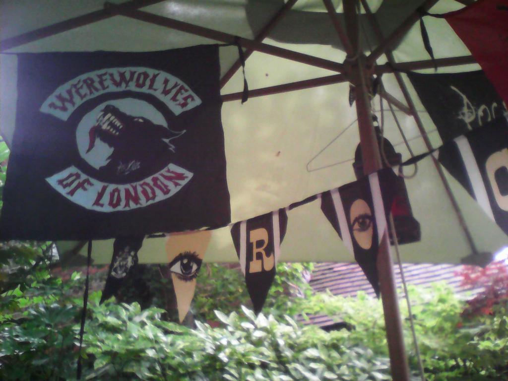 froggyxrayman's tweet photo. Rockins bunting http://t.co/vsuPWHv5xG