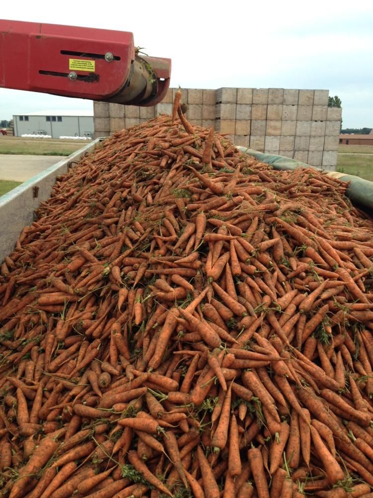 Suffolk Produce Ltd tweet media