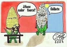 ¡¡ME VOY A ACHICHARRARRR!!
Aragón sufrirá una ola de calor con máximas de hasta... ¡¡38 GRADOS!!
#onlyzaragoza