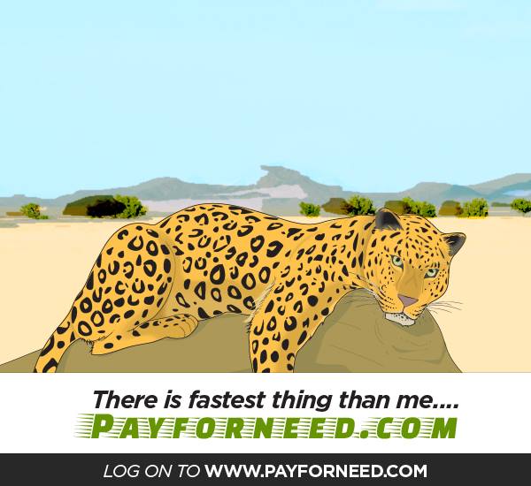 Payforneed's tweet photo. Recharge @ http://t.co/7T2ZOzNZHA, the fastest online recharge in india http://t.co/qQ5y6sxO2L