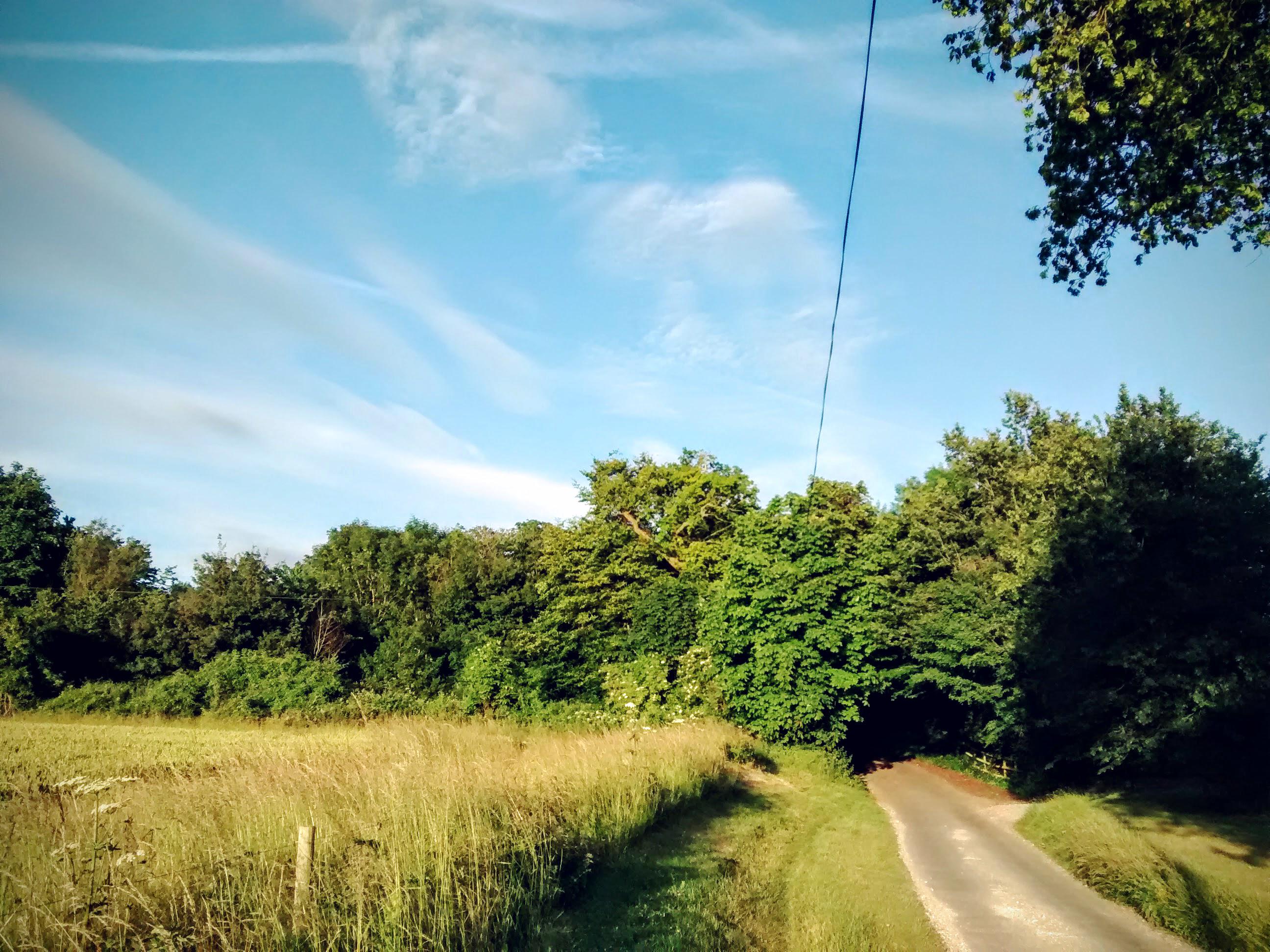 Rule 5 Cycling Club (rule5_cc) / Twitter