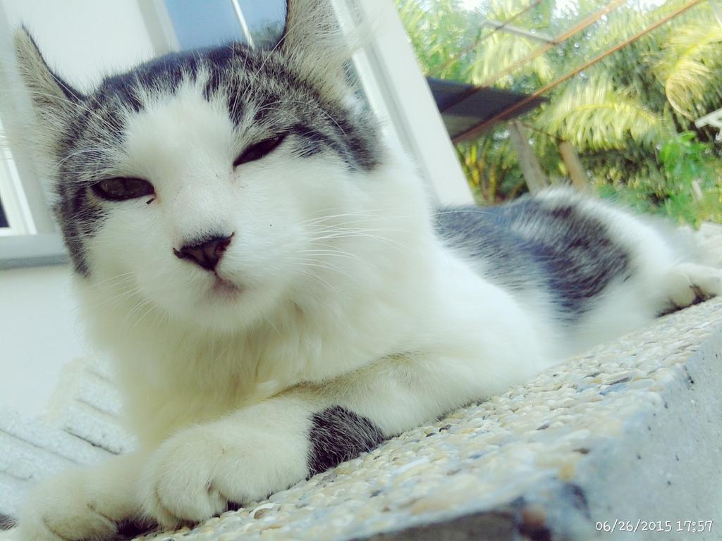 Azim Bike Azimazmi81 Twitter