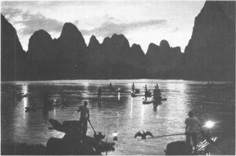 GrahamShawcross's tweet photo. Counting Cormorants http://t.co/hL4hoc7Na7 http://t.co/rWhVCEngkw