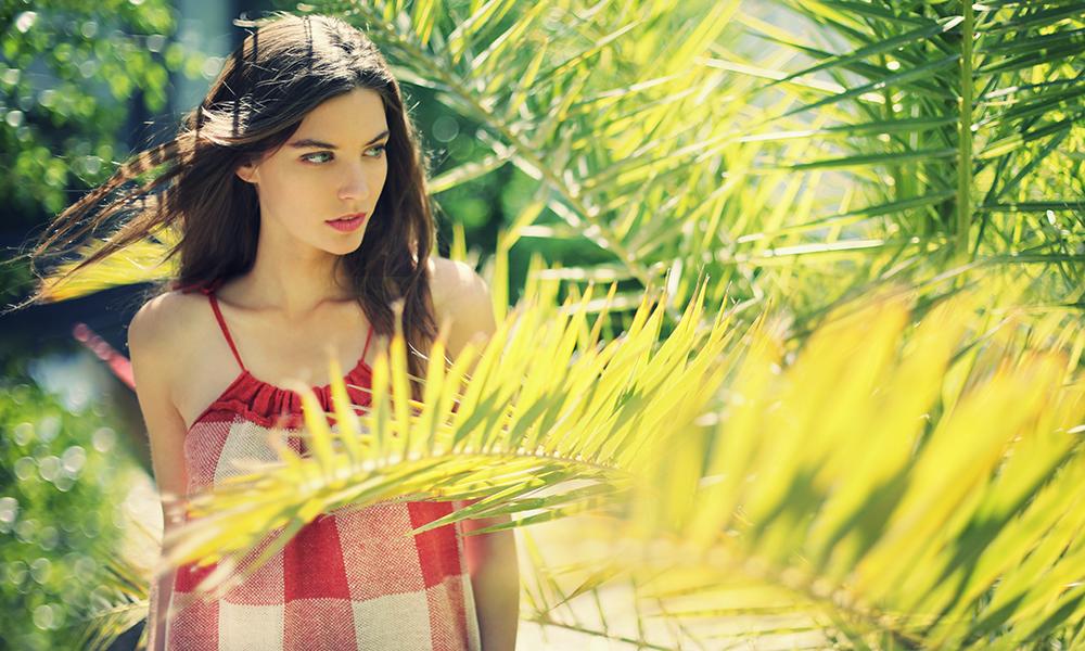 American Outfitters tweet media