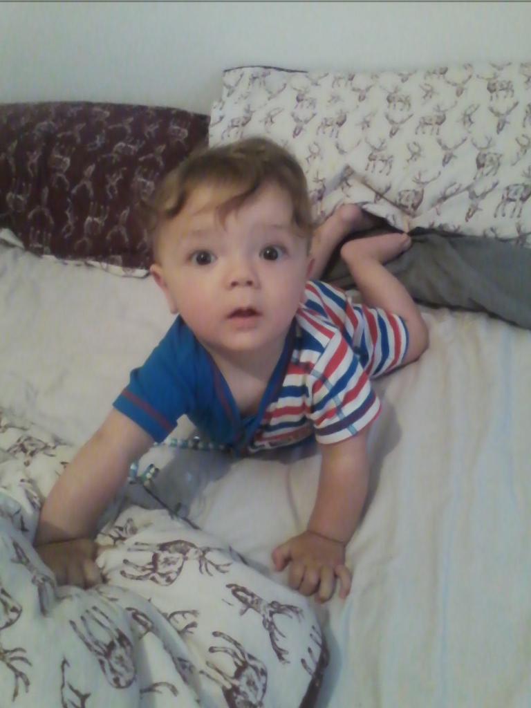 gavin close tweet media