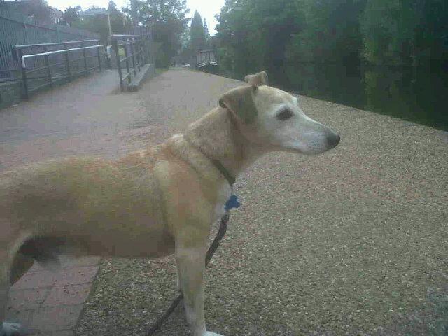 PocoD0c0's tweet image. Back on the cut, Thank Goodness