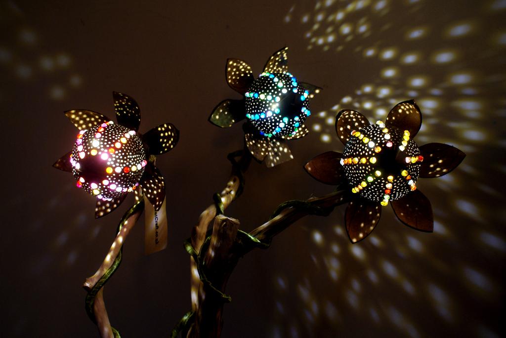 NutCraftUK's tweet photo. Natural coconut shell climbing lamps by http://t.co/U01OpbAXt8 #comingsoon #nutcraft #coconut #lamp http://t.co/kZCxeAfdgG