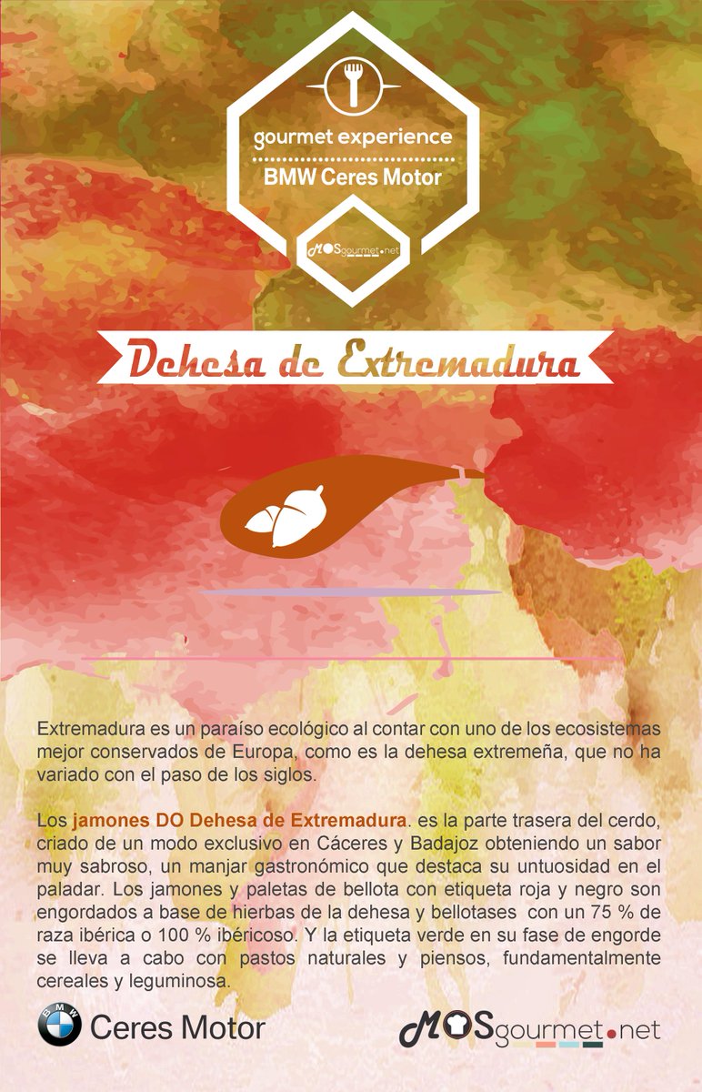 mosgourmet's tweet photo. Gourmet Experience #BMW @CeresMotor: @JamonDO_Extrema
http://t.co/mdTZDVVXuJ
#12DOCeres #Extremadura #jamoniberico http://t.co/mpfX6VtCvI