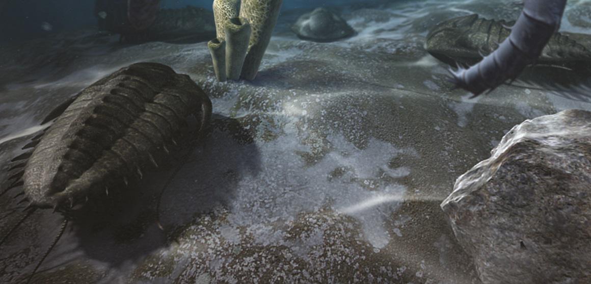 NHM_London's tweet photo. Explore more early life in #FirstLifeVR - extra tickets made available from this w/e onwards http://t.co/5R1ANf79zG http://t.co/UcGzNqKt8Q