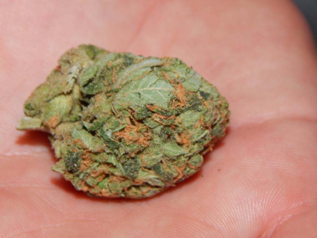 sheblueit86's tweet photo. Some good! #weed http://t.co/hvhwnBynJb