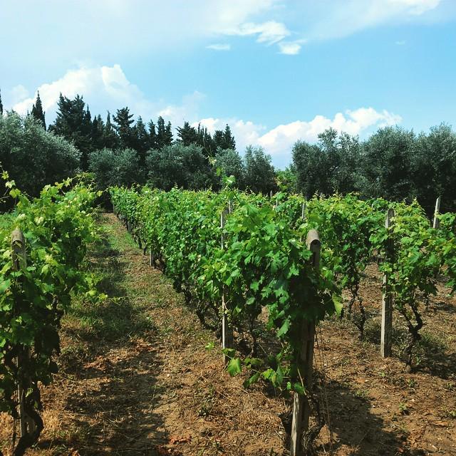 puglia's tweet photo. Il sole che bacia la #puglia http://t.co/msoNj6rrZf