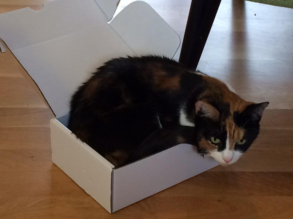 First ever <a href="/JoggBox/">JoggBox</a> delivered today, a hit with the whole household