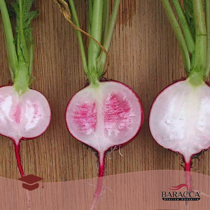 HostariaBaracca's tweet photo. Lo sapevi che i #ravanelli sono diuretici, disintossicanti e rilassanti? Leggi qui: http://t.co/K0ZZd8UqIw http://t.co/dapmMJZRA7