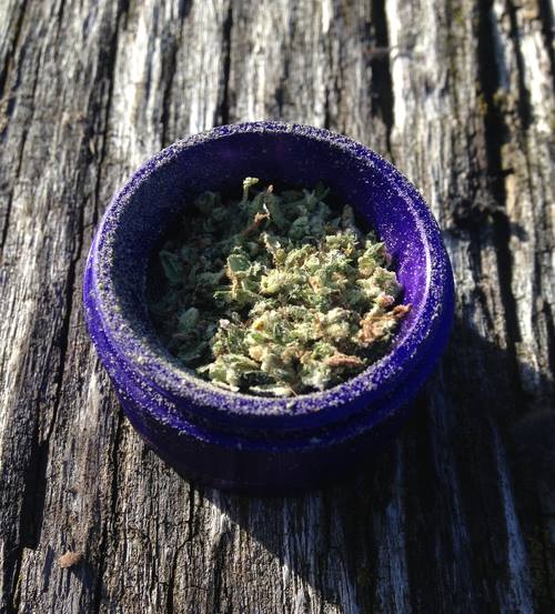 HerbBudman tweet picture