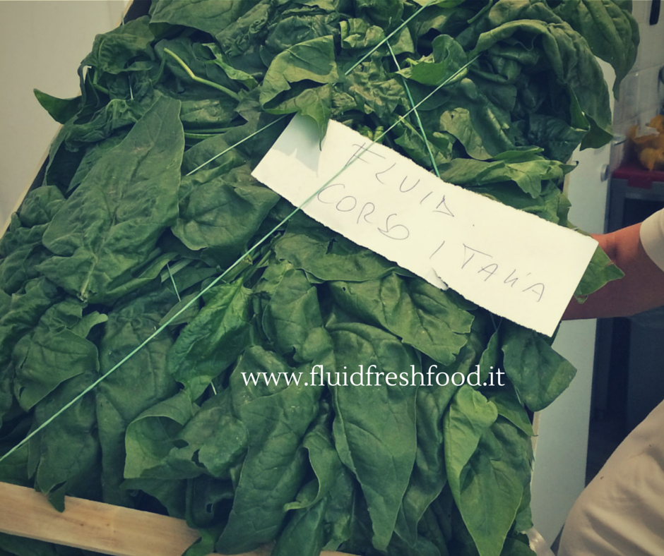 FreshFluidFood's tweet photo. #Always #super #fresh!!!! Order on line your favourite #green #veggies! Today's suggestion: #spinach !!! http://t.co/LJXy0aSxmQ