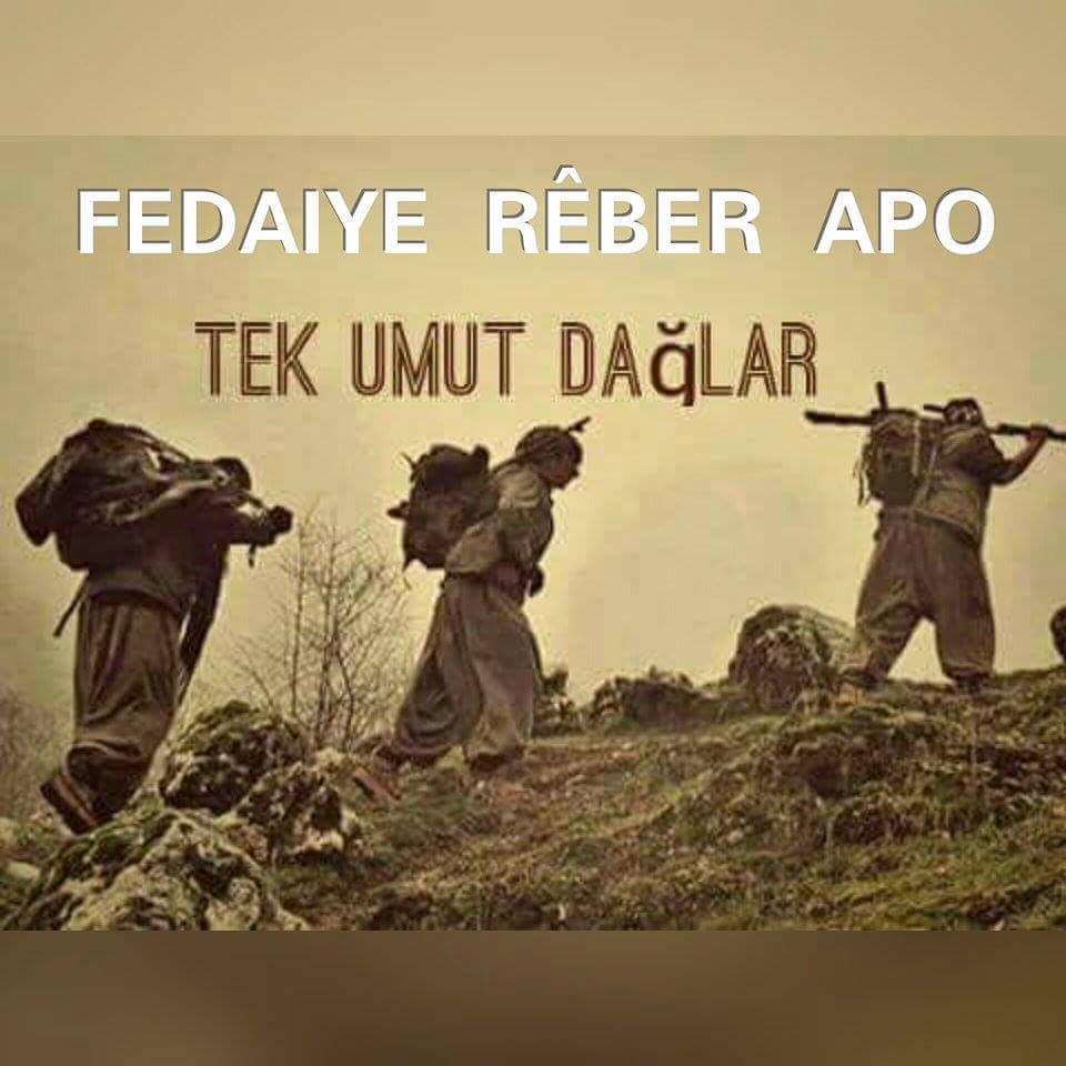 EminDalga's tweet photo. Gitmek istiyor insan ne pahasına olursa olsun GİTMEK!!! Bu yaşananlara bi son verilmeli bian önce!#KobanedeKatliamVar http://t.co/gJY1hwzBtW