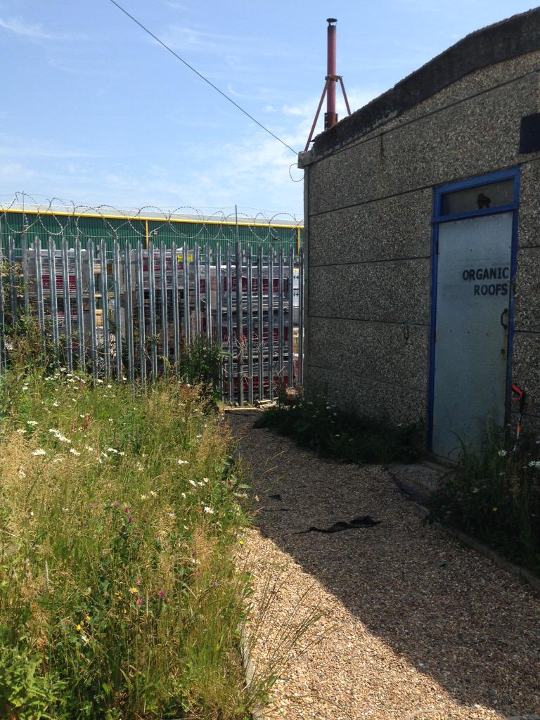 organicroofs's tweet image. The fantastic Maria from dynamicspaces.co.uk has been in today helping us make our space work well for the team