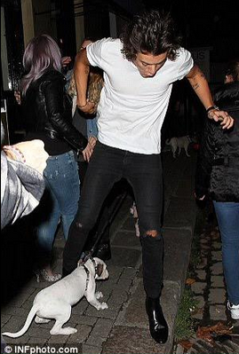 IvanaStyles17's tweet photo. I LOVE THIS GUY !!!
#weknowtherealharry http://t.co/S3cPFTiowM