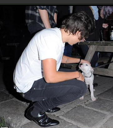IvanaStyles17's tweet photo. I LOVE THIS GUY !!!
#weknowtherealharry http://t.co/S3cPFTiowM