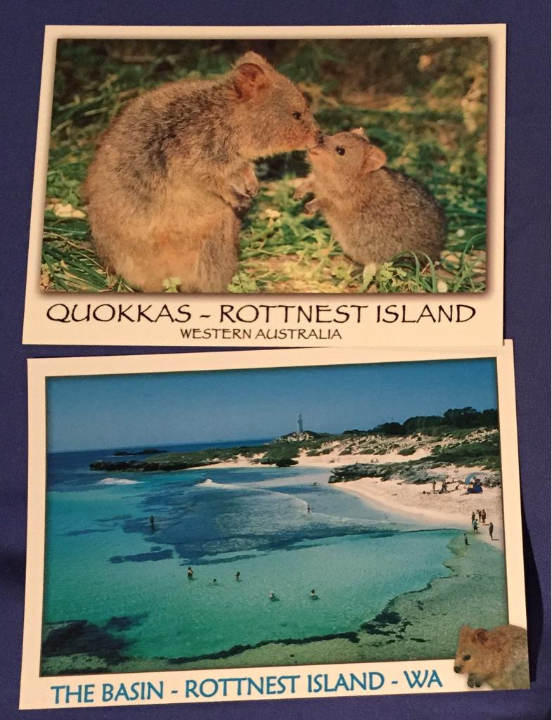 PergiDulu's tweet photo. Siapa mau dikirimin kartu pos Rottnest Island? 🙋

RT dulu tweet ini ya! #kartuposRotto http://t.co/mdOy6V08R8