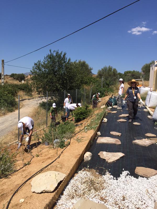performics's tweet photo. Performics #Spain teams up to help clean up and care for local plots of land and gardens #PerformicsHelps http://t.co/qVW64EC1hc