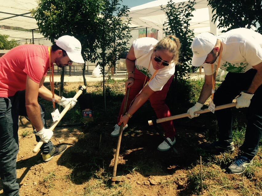 performics's tweet photo. Performics #Spain teams up to help clean up and care for local plots of land and gardens #PerformicsHelps http://t.co/qVW64EC1hc